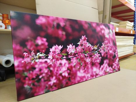 WANDBILD DETAILLIERTE KIRSCHBAUMBLÜTEN - BILDER BLUMEN - BILDER
