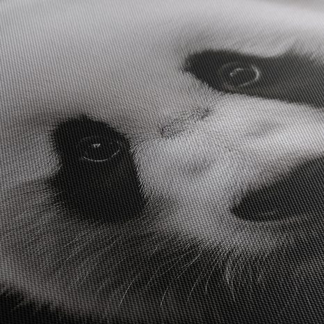 WANDBILD NIEDLICHER PANDA IN DER NATUR - BILDER TIERE - BILDER