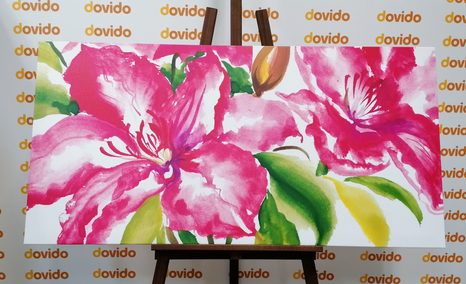 SLIKA ČUDOVITI CVETOVI - SLIKE ROŽ - SLIKE