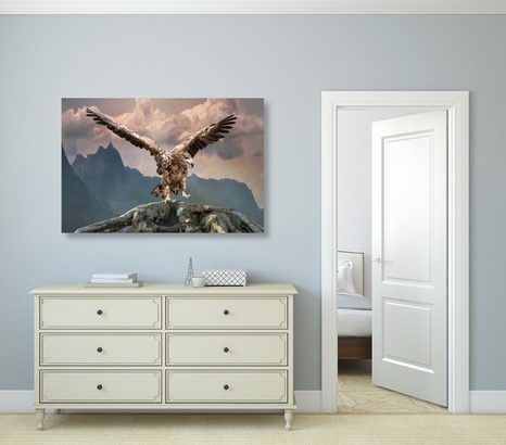 ΕΙΚΌΝΑ ΑΕΤΟΎ ΜΕ ΑΠΛΩΜΈΝΑ ΦΤΕΡΆ ΠΆΝΩ ΑΠΌ ΤΑ ΒΟΥΝΆ - ΠΊΝΑΚΕΣ ΖΏΩΝ - ΠΊΝΑΚΕΣ