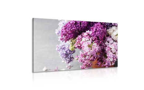 SLIKA ŠPANSKI BEZEG V ROŽNATIH ODTENKIH - SLIKE ROŽ - SLIKE