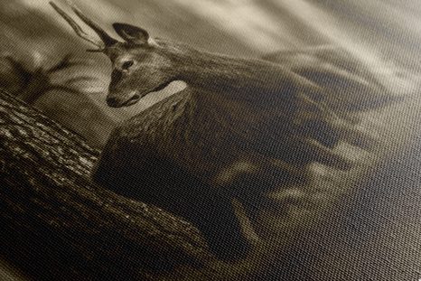 TABLOU CERBUL ÎN PĂDURE DE PINI ÎN SEPIA - TABLOURI ALB-NEGRU - TABLOURI