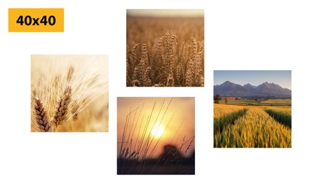 SET OBRAZŮ KOUZLO PŘÍRODY - SESTAVY OBRAZŮ - OBRAZY