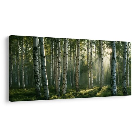 CANVASTAVLA SOLSTRÅLAR MELLAN BJÖRKAR - TAVLOR MED SKOG - TAVLOR