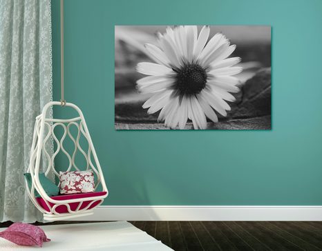 SLIKA PREKRASNA TRATINČICA U CRNO-BIJELOM DIZAJNU - CRNO-BIJELE SLIKE - SLIKE