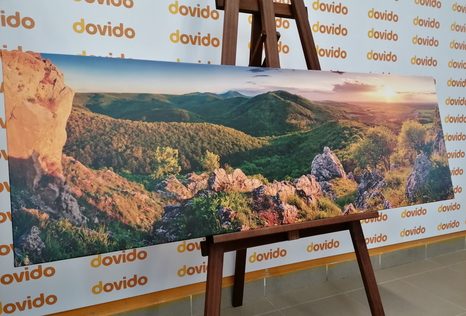 OBRAZ PŘÍRODA ZALITÁ SLUNCEM - OBRAZY PŘÍRODY A KRAJINY - OBRAZY