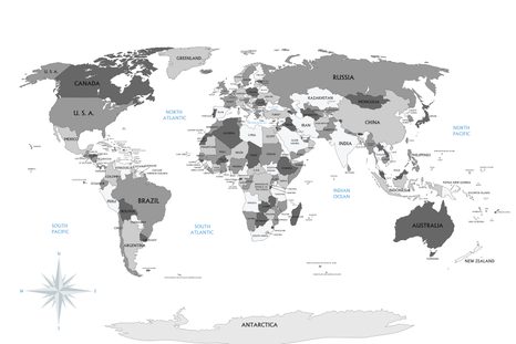 ΕΙΚΌΝΑ ΣΕ ΑΣΠΡΌΜΑΥΡΟ ΧΆΡΤΗ ΑΠΌ ΦΕΛΛΌ ΜΕ ΜΠΛΕ ΑΝΤΊΘΕΣΗ - ΠΊΝΑΚΕΣ ΣΤΟ ΦΕΛΛΌ - ΠΊΝΑΚΕΣ