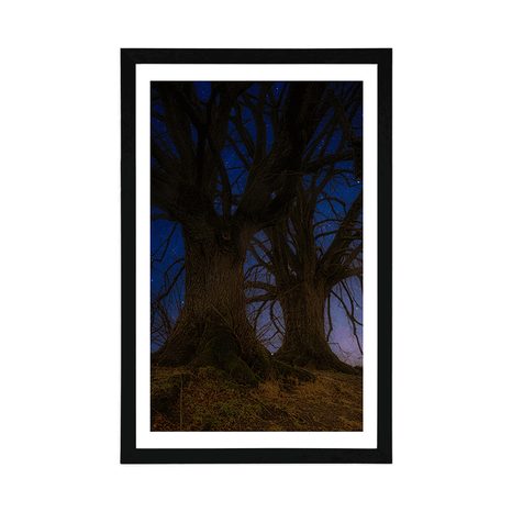 SPLAKAT S PASPARTUOM TABLA U NOĆNOM KRAJOLIKU - PRIRODA - PLAKATI