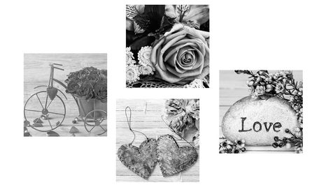 SET SLIKA CRNO-BIJELA MRTVA PRIRODA S NATPISOM LOVE - SETOVI SLIKA - SLIKE