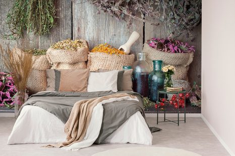 FOTOTAPETA LÉČIVÉ BYLINKY - TAPETY JÍDLA A NÁPOJE - TAPETY