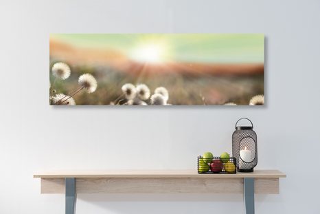 WANDBILD PANORAMA EINER BLÜHENDEN WIESE - BILDER VON NATUR UND LANDSCHAFT - BILDER