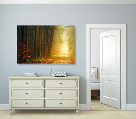 SLIKA GOZDNA POT - SLIKE NARAVE IN POKRAJINE - SLIKE