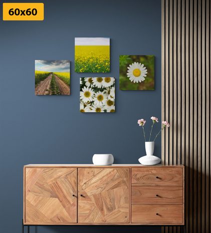 SET OBRAZŮ LOUKA PLNÁ KVĚTIN - SESTAVY OBRAZŮ - OBRAZY