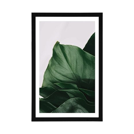 PLAKAT S PASPARTUOM OČARAVAJUĆI LIST MONSTERE - CVIJEĆE - PLAKATI