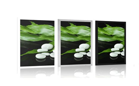 PLAKAT NARAVNA TERAPIJA - FENG SHUI - PLAKATI