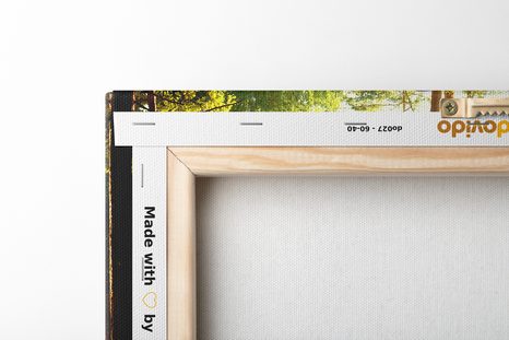 CANVAS SCHILDERIJ ZONNESTRALEN IN HET BOS - SCHILDERIJEN - MEGA UITVERKOOP TOT 70% 🔥