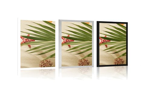 AFFICHE – COQUILLAGES SOUS FEUILLES DE PALMIER - NATURE MORTE - AFFICHES