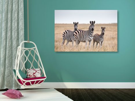WANDBILD DREI ZEBRAS IN DER SAVANNE - BILDER TIERE - BILDER