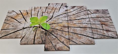 TABLOU 5-PIESE NAȘTERIE UNEI NOI VIEȚI - TABLOURI CU COLȚURI DE LINIȘTITE - TABLOURI