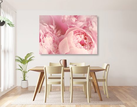 OBRAZ LUPÍNKY KVĚTU - OBRAZY KVĚTŮ - OBRAZY