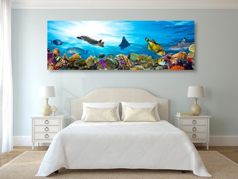 WANDBILD KORALLENRIFF MIT FISCHEN UND SCHILDKRÖTEN - WANDBILDER MEERESTIERE - BILDER