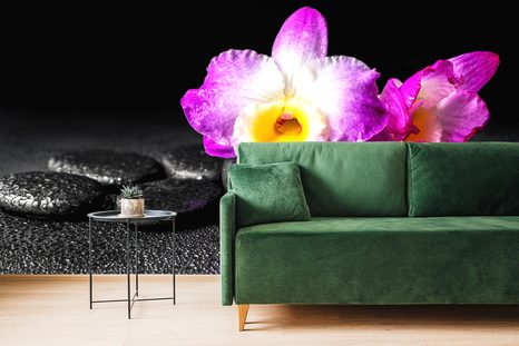 CARTA DA PARATI – ORCHIDEA SU PIETRE ZEN - CARTA DA PARATI FENG SHUI - CARTA DA PARATI