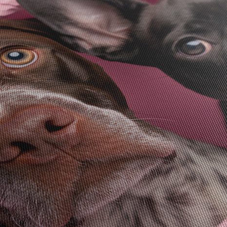 OBRAZ PSI ZVĚDAVOST V RŮŽOVÉ - OBRAZY PSI - OBRAZY