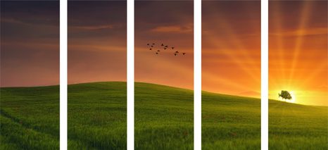 TABLOU 5-PIESE COPAC PE LUNCĂ - TABLOU NATURĂ ȘI PEISAJE NATURALE - TABLOURI