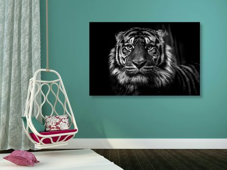 WANDBILD TIGER IN SCHWARZ-WEISS - SCHWARZ-WEISSE BILDER - BILDER