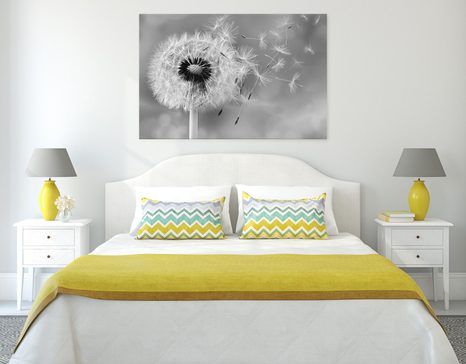 WANDBILD BEZAUBERNDER LÖWENZAHN IN SCHWARZ-WEISS - SCHWARZ-WEISSE BILDER - BILDER