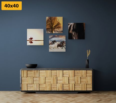 BILDER-SET FÜR PFERDELIEBHABER - BILDERSETS - BILDER