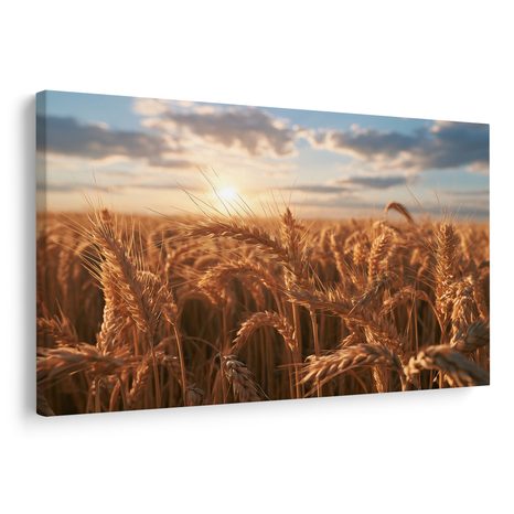 TABLEAU SUR TOILE – BLÉ DORÉ AU COUCHER DU SOLEIL - TABLEAUX DE CHAMPS ET PRAIRIES - TABLEAUX