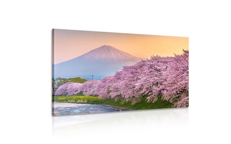 OBRAZ JAPONSKA SOPKA FUJI - OBRAZY PŘÍRODY A KRAJINY - OBRAZY