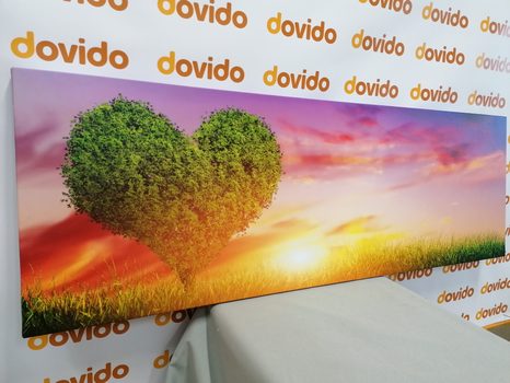 TABLOU COPAC ÎN FORMĂ DE INIMĂ PE PAJIȘTE - TABLOURI DRAGOSTE - TABLOURI