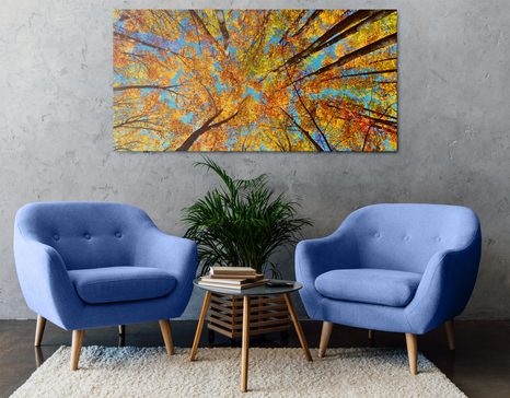 OBRAZ PODZIMNÍ KORUNY STROMŮ - OBRAZY PŘÍRODY A KRAJINY - OBRAZY