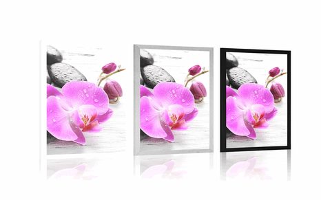 PLAGÁT KÚZELNÁ SÚHRA KAMEŇOV A ORCHIDEY - FENG SHUI - PLAGÁTY