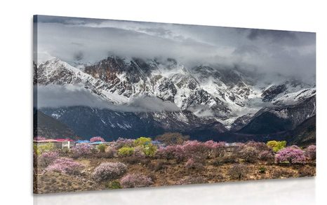 QUADRO PAESAGGIO DI MONTAGNA UNICO - QUADRI DI NATURA E PAESAGGIO - QUADRI