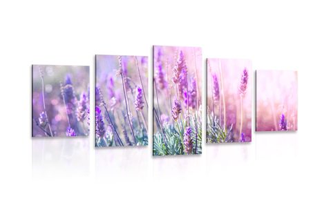 QUADRO IN 5 PARTI MAGICI FIORI DI LAVANDA - QUADRI DI FIORI - QUADRI