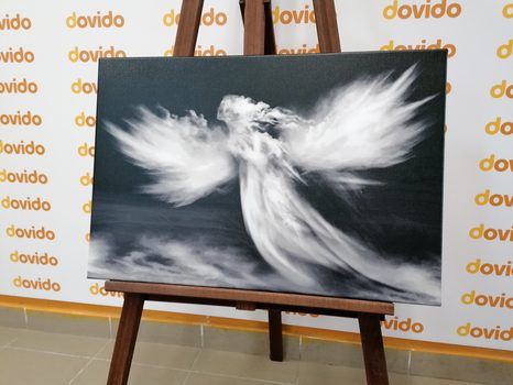 TABLOU FORMĂ DE ÎNGER ÎN NORI ÎN DESIGN ALB-NEGRU - TABLOURI ALB-NEGRU - TABLOURI