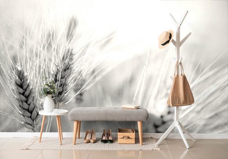 FOTOTAPETA PŠENIČNÉ POLE V ČERNOBÍLÉM PROVEDENÍ - ČERNOBÍLÉ TAPETY - TAPETY