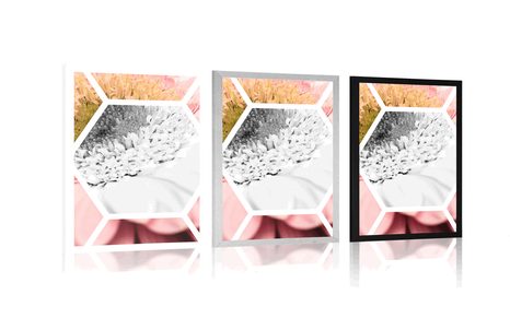 PLAGÁT GERBERA V ŠESŤUHOLNÍKU - KVETY - PLAGÁTY