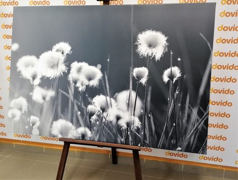 SLIKA BOMBAŽ V ČRNOBELI IZVEDBI - ČRNOBELE SLIKE - SLIKE