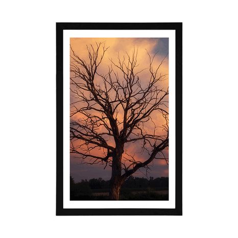 PLAKAT S PASPARTUOM PREKRASNO STABLO NA LIVADI - PRIRODA - PLAKATI