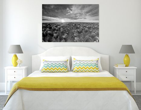 WANDBILD SONNENAUFGANG ÜBER DER WIESE MIT TULPEN IN SCHWARZ-WEISS - SCHWARZ-WEISSE BILDER - BILDER