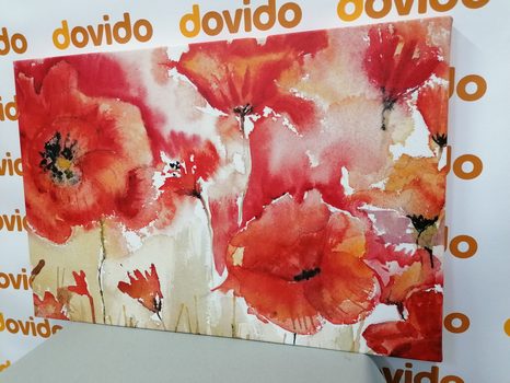 STAMPA SU TELA – PAPAVERI ROSSI SUL CAMPO - QUADRI DI FIORI - STAMPE E QUADRI