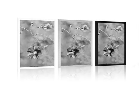 PLAKÁT KVĚTINY V ČERNOBÍLÉM PROVEDENÍ - ČERNOBÍLÉ - PLAKÁTY