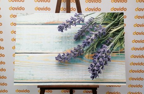 OBRAZ LEVANDULE NA DŘEVĚNÉM POZADÍ - OBRAZY KVĚTŮ - OBRAZY