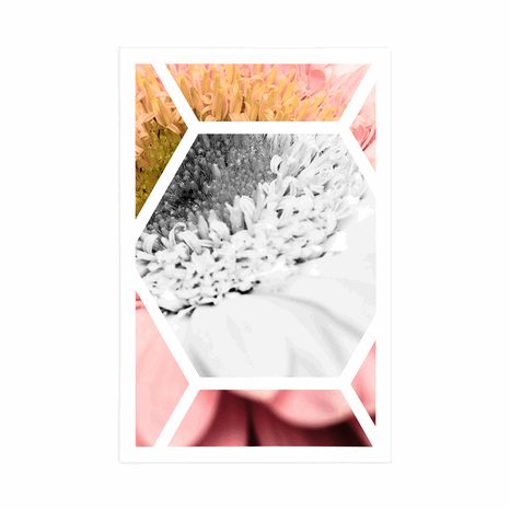 PLAGÁT GERBERA V ŠESŤUHOLNÍKU - KVETY - PLAGÁTY