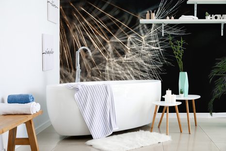 CARTA DA PARATI – BELLEZZA DEL DENTE DI LEONE - CARTA DA PARATI CON FIORI - CARTA DA PARATI