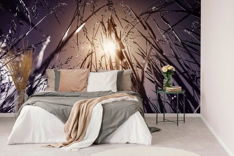 FOTOTAPETA POLNÍ TRÁVA - TAPETY PŘÍRODA - TAPETY